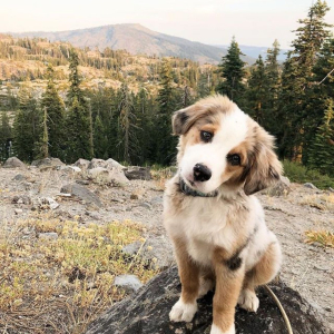 72895212_1154435764947247_8811022097121722236_n-2